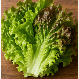 Lettuce