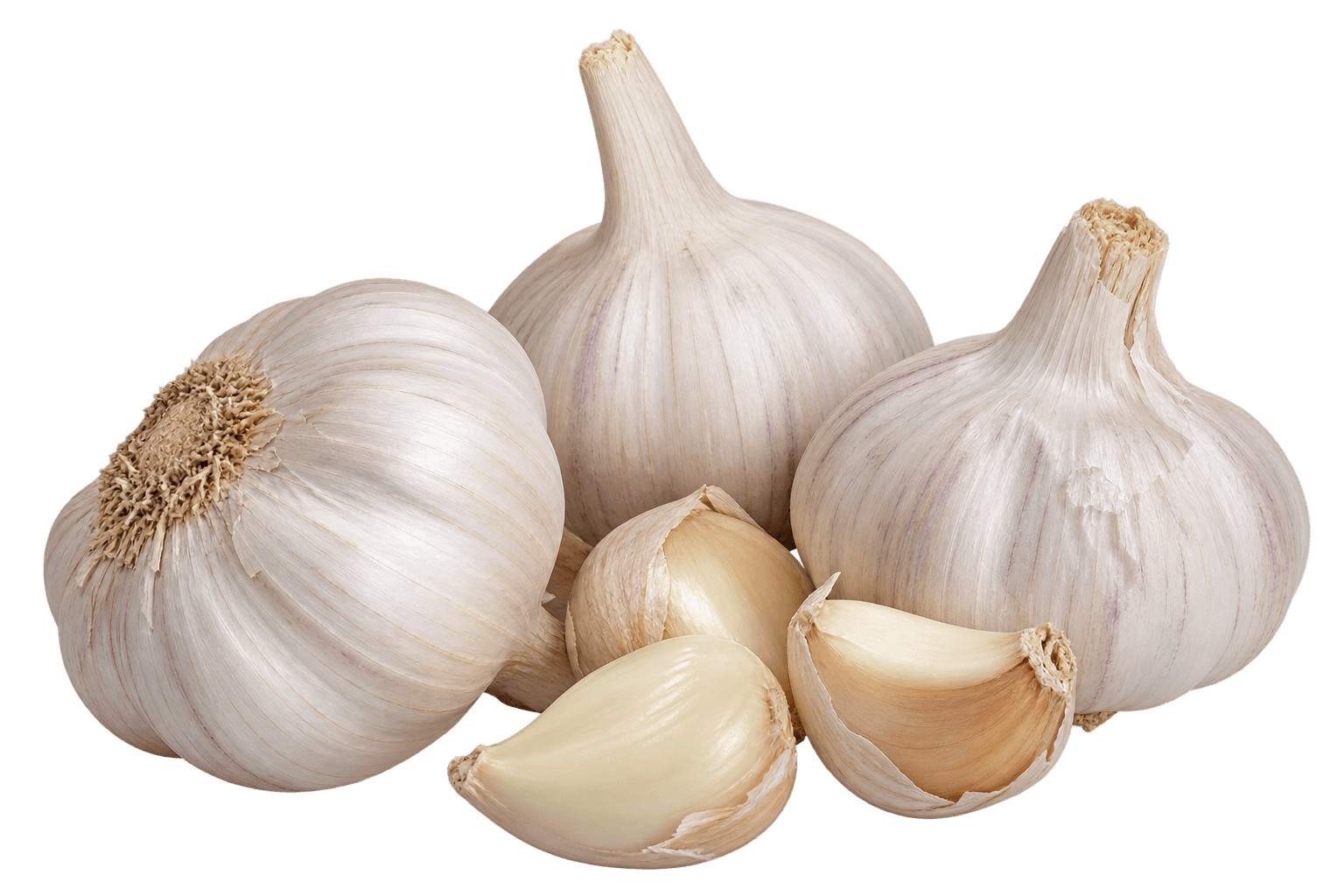 Garlic & Ginger