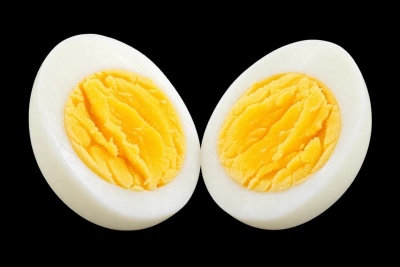Egg