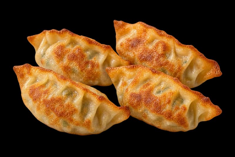Fried Dumplings