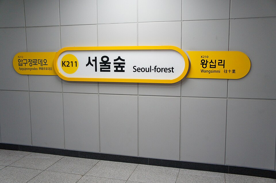 Seoul Forest BTS Bench Garden